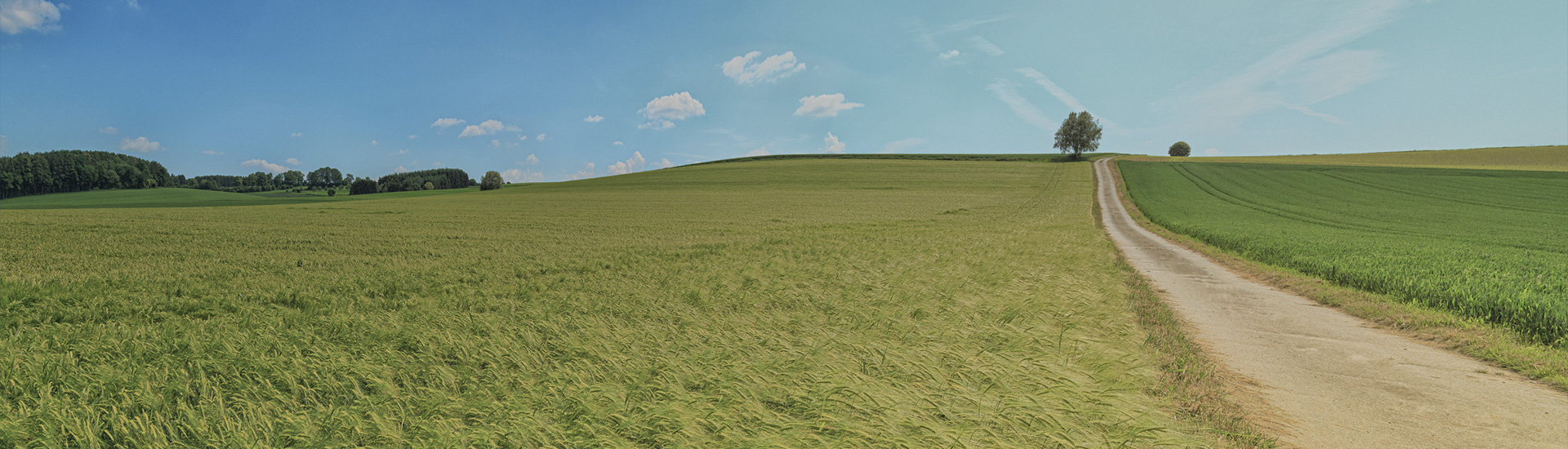 深圳市裕鑫包裝制品有限公司